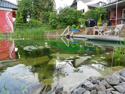 Großfamilien-Schwimmteich in Hennef bei Bonn. Foto: Joachim Scheible