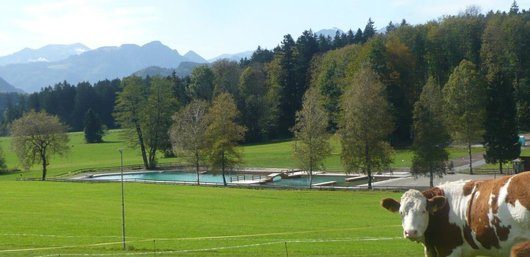 Naturfreibad Samerberg bei Rosenheim in Oberbayern. Foto: WasserWerkstatt